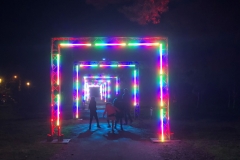 BRIGHT Walk Adelaide 2022 - Event Operations
