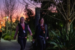 BRIGHT Walk Adelaide 2022 - Event Operations