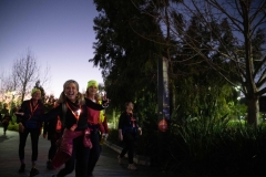 BRIGHT Walk Adelaide 2022 - Event Operations