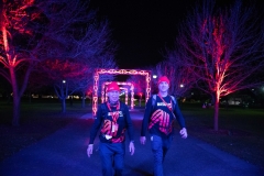 BRIGHT Walk Adelaide 2022 - Event Operations