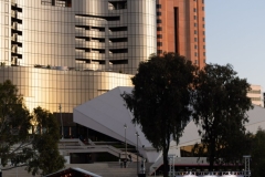 BRIGHT Walk Adelaide 2022 - Event Operations