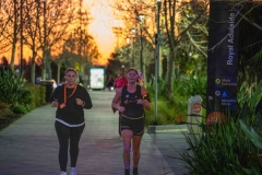 BRIGHT Walk Adelaide 2022 - Event Operations
