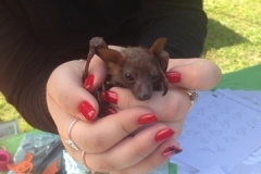 IMG_5593