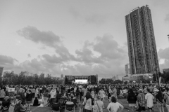 Hi-Res-Crowd