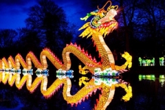 TWE-FestivalOfLights-01-1100x550-c-center