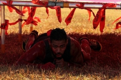 Blood