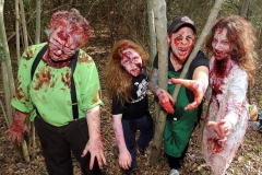 NGL_1ZombieRunFamilyZombies_28574842_257932