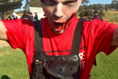 pic-zebzombie