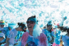 16700660_1290448541041686_8010298294246967491_o