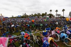 1549213_566441673453281_2114575342_n